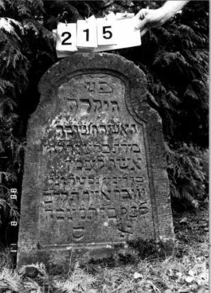 Grabstein 215