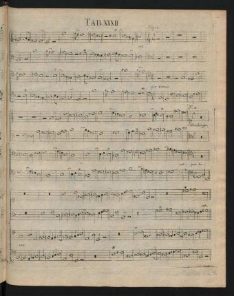 Tab. XXXII