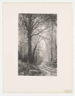 Sous bois, Blatt 32 der Folge "Le paysage au fusain"