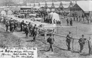 Deutsche Landwirtschaftliche Gesellschaft, [...] Wanderausstellung Leipzig, 17. - 22. Juni 1909