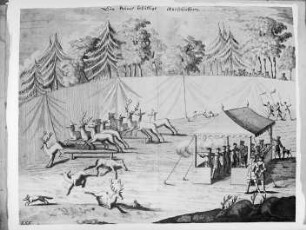Jagd auf Hirsche. Kleines bestätigtes Jagen. Stich aus: v. Flemming "Der vollkommene Teutsche Jäger" 1719/24, 1. teil. 1719