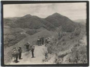 Landschaft auf den Höhen von Cuchilla zwischen Padilla und Río Grande