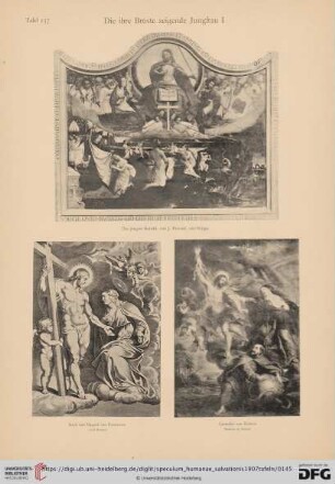 Die ihre Brüste zeigende Jungfrau (Tafel 137 - 138)