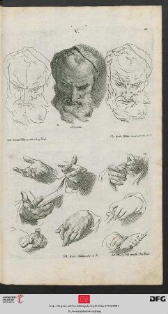 Taf. 17 [Männl. Gesicht (Kontur-Schraffur, nach Piazetta)]
