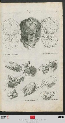Taf. 17 [Männl. Gesicht (Kontur-Schraffur, nach Piazetta)]