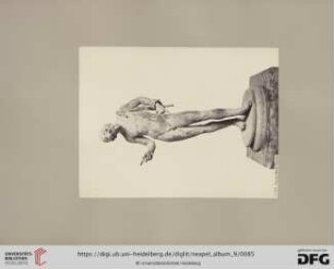 Nr. 1535. Narciso (Museo Napoli)