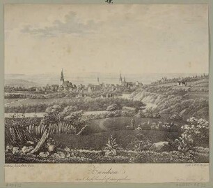 Stadtansicht von Zwickau in Sachsen von Süden über die Zwickauer Mulde