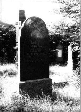 Grabstein 41 (Index: 100100560) Material: Granit Zustand: gut Maße HxBxT: 168x61x15 cm Beschreibung: Stele, Sockel, geschwungener Rundbogenabschluß Symbolik: eingemeißelte Blüten, stilisierte Blätter, Rundbogenfries, Davidstern: Grabstein 41