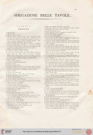 Spiegazione delle tavole