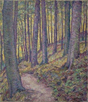 Wald im Schwentinetal