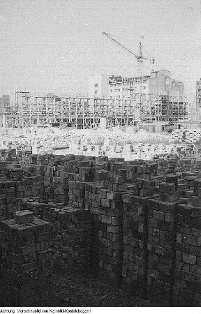 Dresden, Altmarkt. Neubebauung, Walter Weidauer auf der Baustelle - Blick zur Ruine der Sophienkirche, September 1953