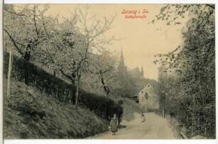 Leisnig. Schlossstraße