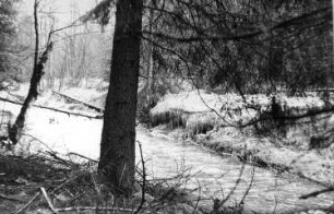 Tharandt-Triebisch, Tharandter Wald. An der Triebisch zwischen Hartha und Grund
