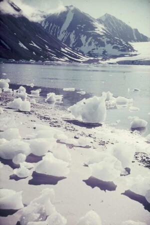 Reisefotos Norwegen. Spitzbergen. Magdalenenfjord mit einmündendem Waggonway Gletscher