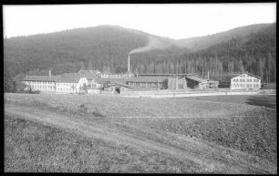 Schmiedeberg. Eisenwerk