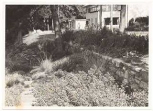 Garten von Bauer, Rhode: Blick über die Terrasse mit Gartenmöbeln