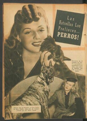 Las estrellas los prefieren... perros!
