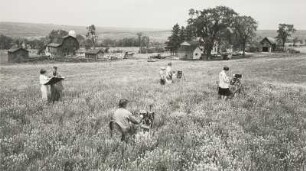 Keuka College (Viewbook)