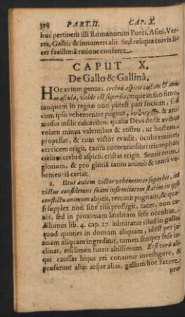 Caput X. De Gallo & Gallina.