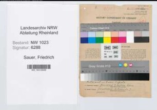 Entnazifizierung Friedrich Sauer , geb. 18.04.1894 (Steueroberinspektor)