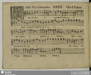 XXXII. Haec est dies quam fecit Dominus