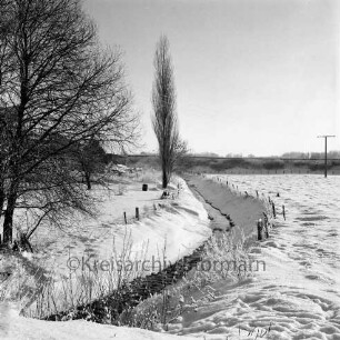 Norderbeste: Zäune auf Uferböschung: vorn links Gesträuch: dahinter Bäume: hinten links Häuser: Winter