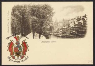 312, Platanen-Allee. Normannia sei's Panier!