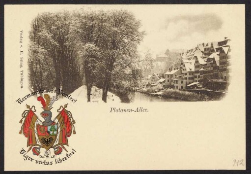 312, Platanen-Allee. Normannia sei's Panier!