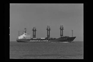 Medi Star (1981), Schuldt.- H. Schuldt, Hamburg