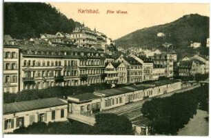 Karlsbad. Alte Wiese