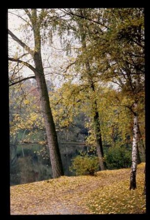 Waldfrdhf. Heerstr. 13.10.77.