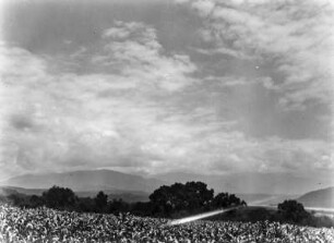 Oberhalb des Jujuy : Landschaft
