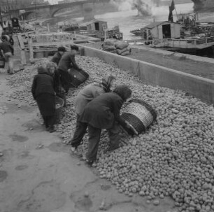 Dresden. Terrassenufer, Aktion "Riesa hilft Dresden", Kartoffellieferung im Winter