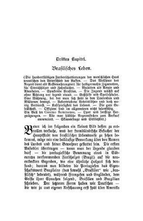 Drittes Kapitel. Brasilisches Leben