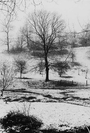 Landschaft bei Dresden