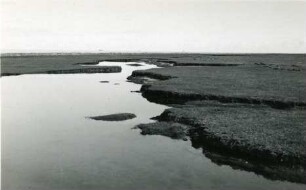 Landschaft im Wattenmeer