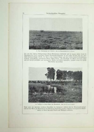 16. Torfstich in einem Moor bei Worpswede