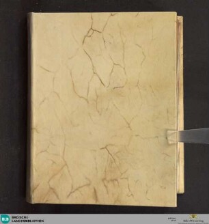 De angelis - Cod. Ettenheim-Münster 266