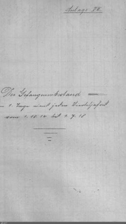 Anlage VIII: Der Gefangenenbestand.