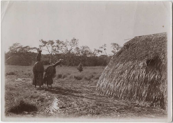 Final scene of the Jarehene mask dance of the Karajá