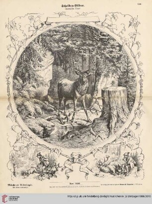Nro. 916