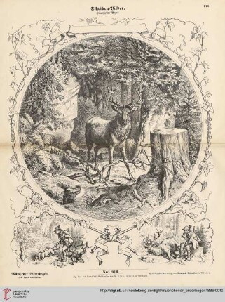 Nro. 916