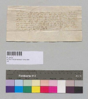 Herzog Heinrich [XIV.] von Bayern setzt fest, dass für die nächsten drei Jahre alle Klagen, die gegen die Priorin und das Gotteshaus in [Nieder-]Viehbach ergehen, vor dem Vitztum erhoben werden müssen.;. S: Herzog Heinrich [XIV.] von Bayern