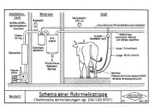 Schema einer Rohrmelkanlage (Technische Anforderungen vgl. DIN/ISO 5707)