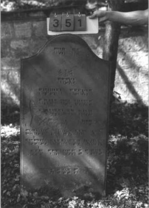 Grabstein 351 (Index: 99609988) Material: Sandstein Zustand: verwittert, abgeblättert, teilweiser Textverlust Maße HxBxT: 123x61x9 cm Beschreibung: Stele, Konvexbogenabschluß, Schriftfeld erhaben: Grabstein 351
