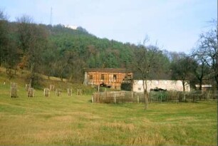 sanierungsbedürftige Fachwerkscheune am Dorfrand; neue Obstwiese