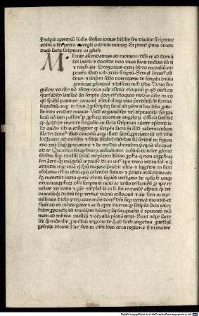 Compendium litteralis sensus totius bibliae