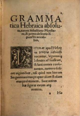 Opvs Grammaticvm Consvmmatvm : Ex uarijs Elianis libris concinnatum, complectens scilicet Elementarium absolutum Numerandi rationem Pronominum declinationes Verborum integras coniugationes ... = Melêḵat had-diqdûq haš-šālēm