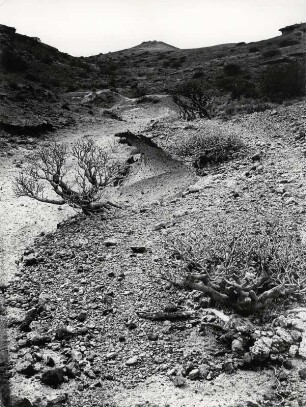 Landschaft im Süden Teneriffas bei El Medano