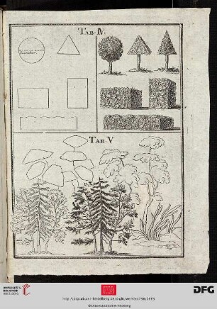 Tab. IV - V [Bäume (geom. Form-Schemata-Kontur-Schraffur)]